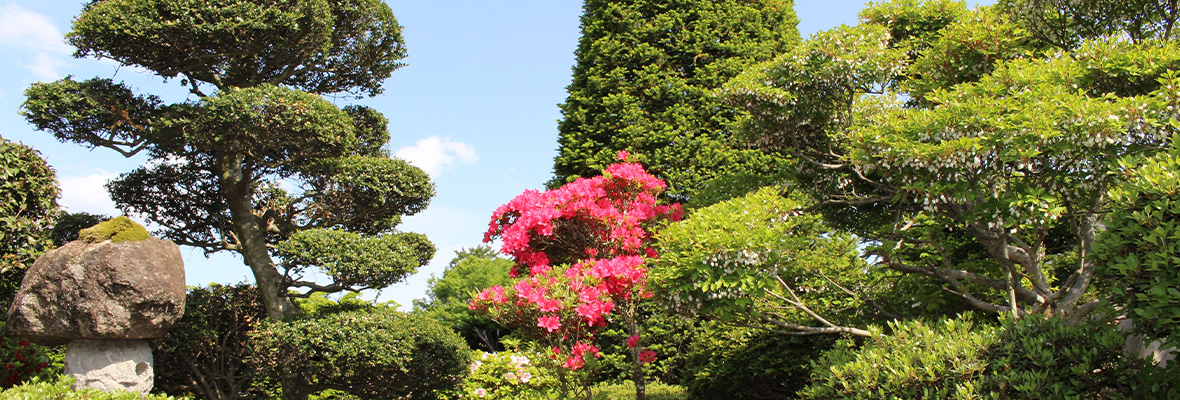 個人様向けサービス